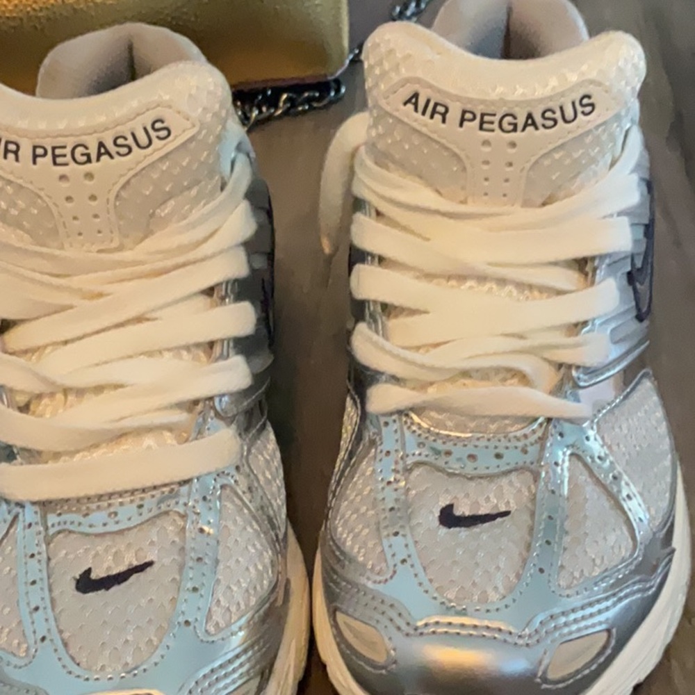 Nike Air Pegasus